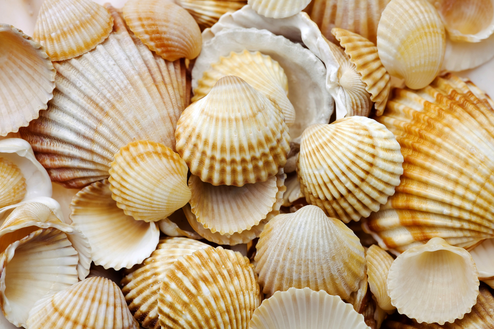 Fotolia_78219820_Subscription_Monthly_M