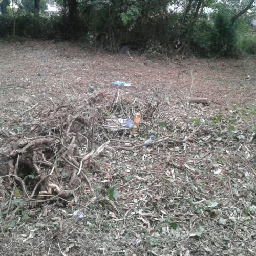 IMG-20160423-WA0054