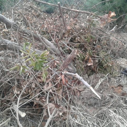 IMG-20160423-WA0060