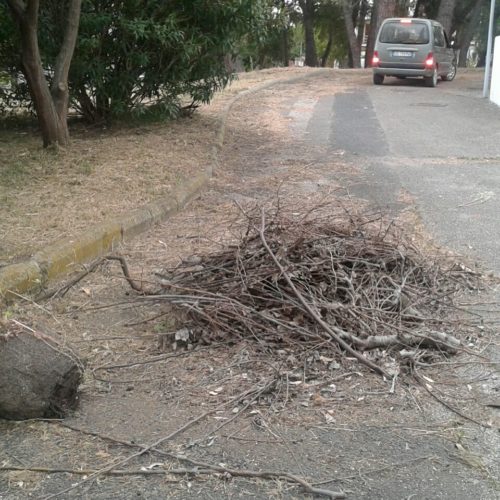 IMG-20160423-WA0065
